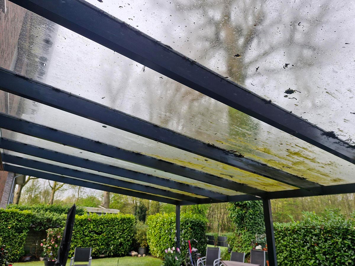 Ein schmutziges transparentes Terrassendach mit Algen und Blättern auf den Paneelen
