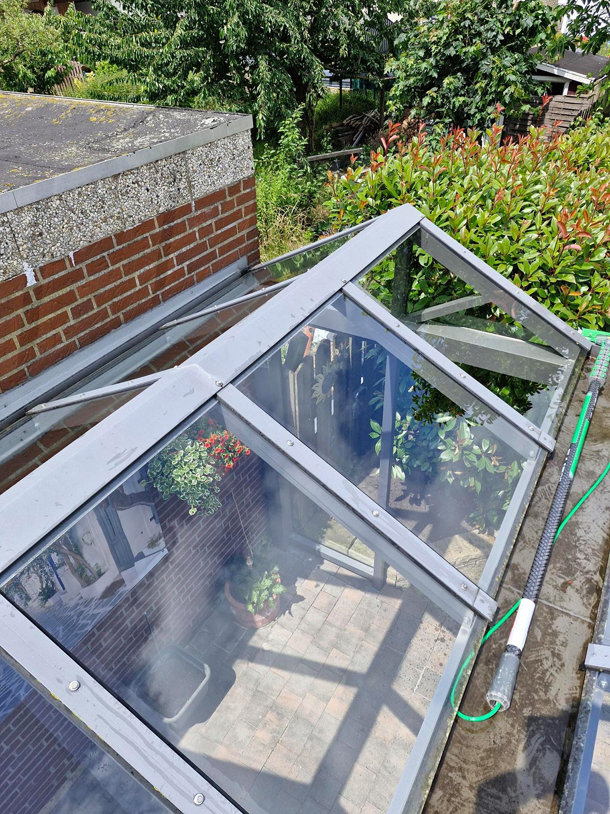 Blick von oben auf ein Glasdach mit Spiegelungen, dahinter grüne Pflanzen